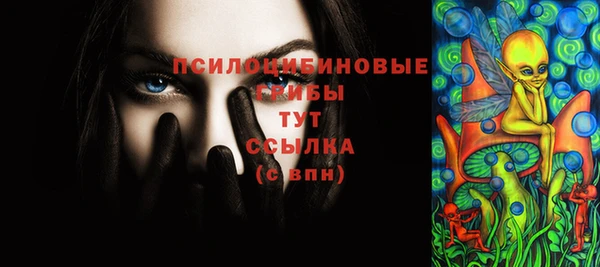 трава Верея