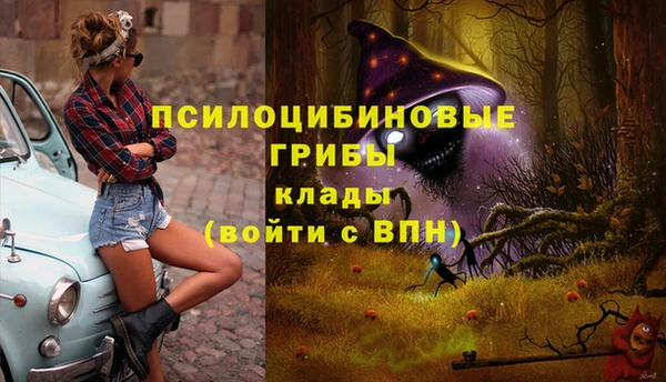 трава Верея